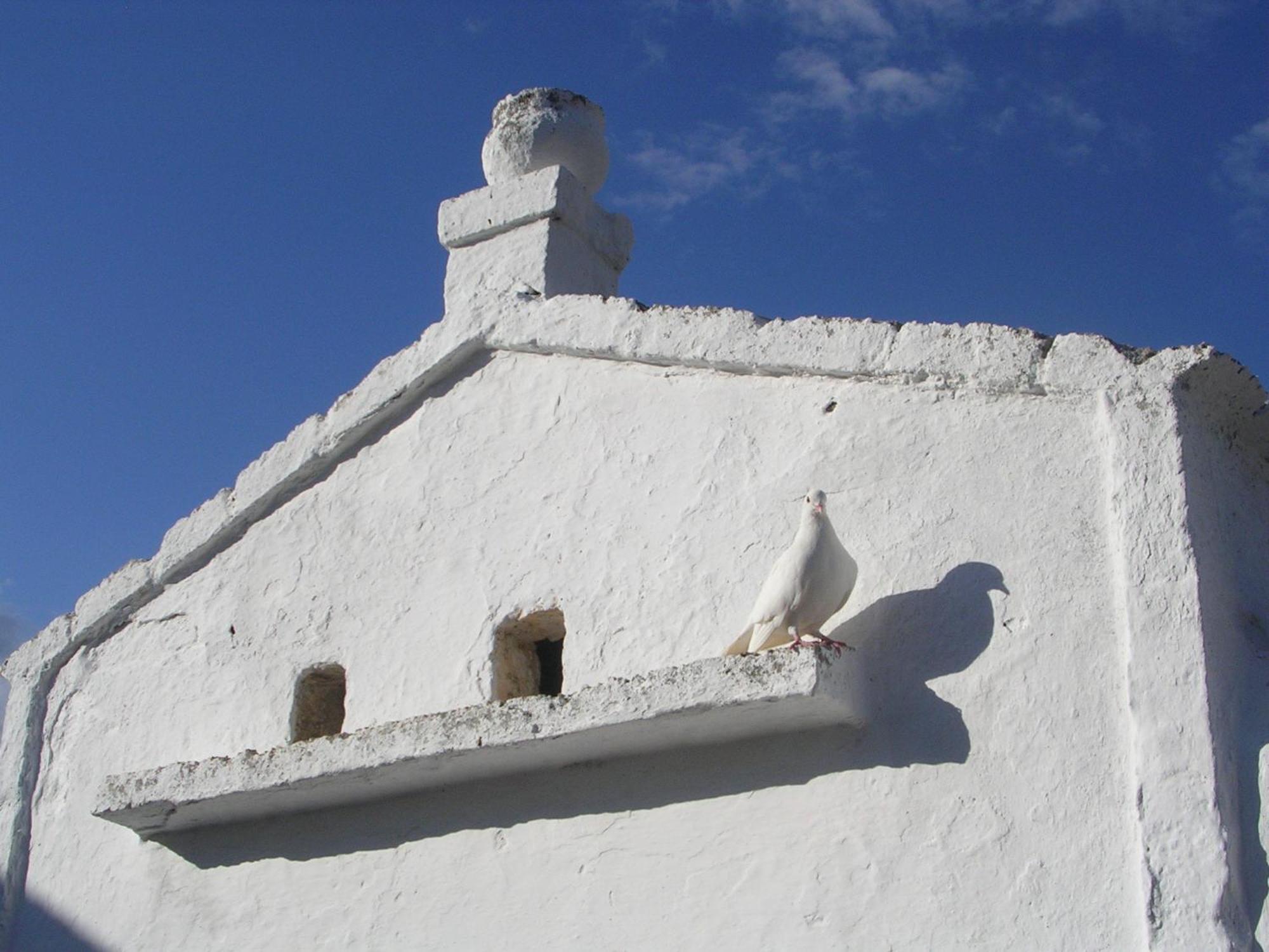 Masseria Purgatorio 法萨诺 外观 照片