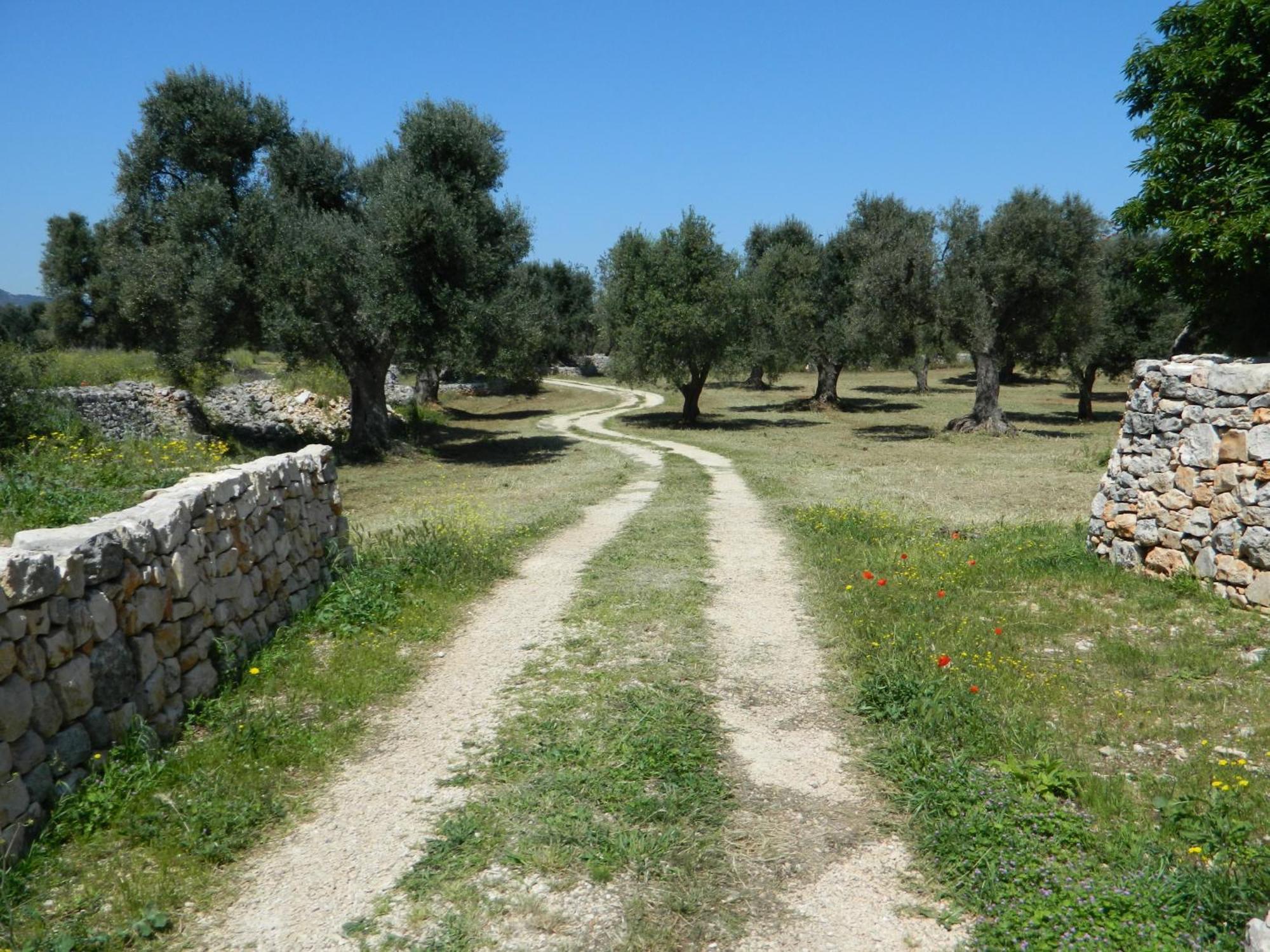 Masseria Purgatorio 法萨诺 外观 照片