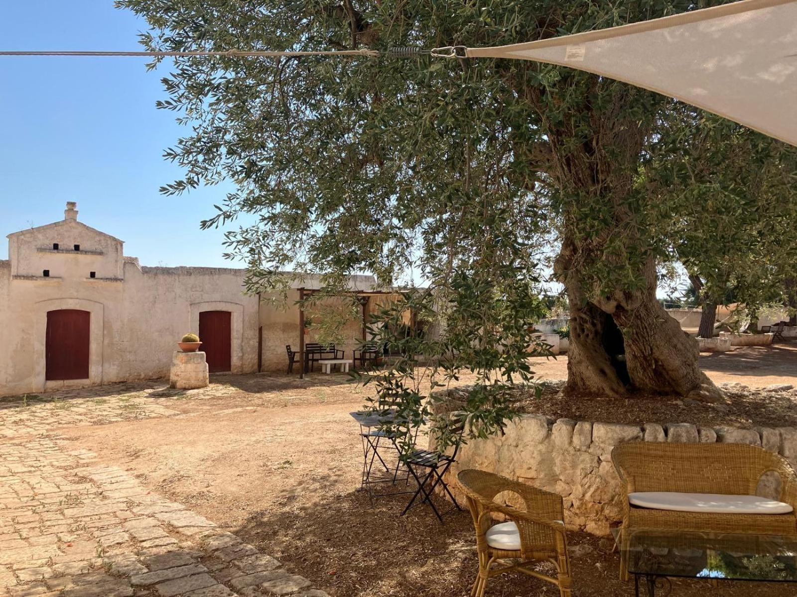 Masseria Purgatorio 法萨诺 外观 照片