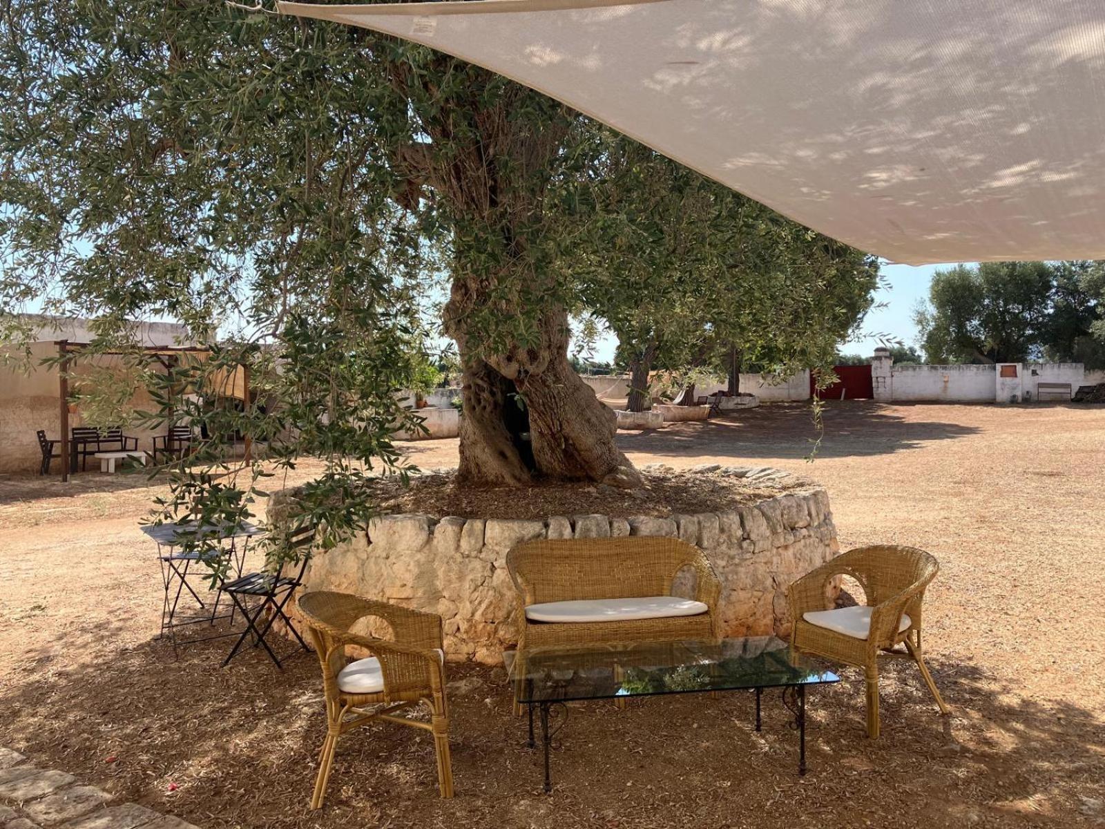 Masseria Purgatorio 法萨诺 外观 照片