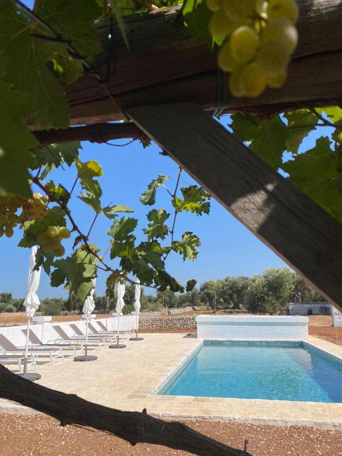 Masseria Purgatorio 法萨诺 外观 照片