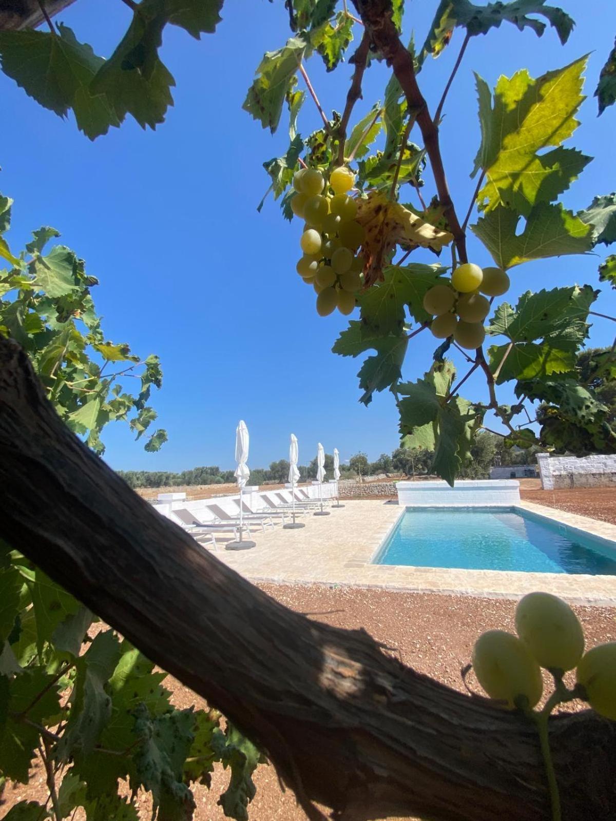 Masseria Purgatorio 法萨诺 外观 照片